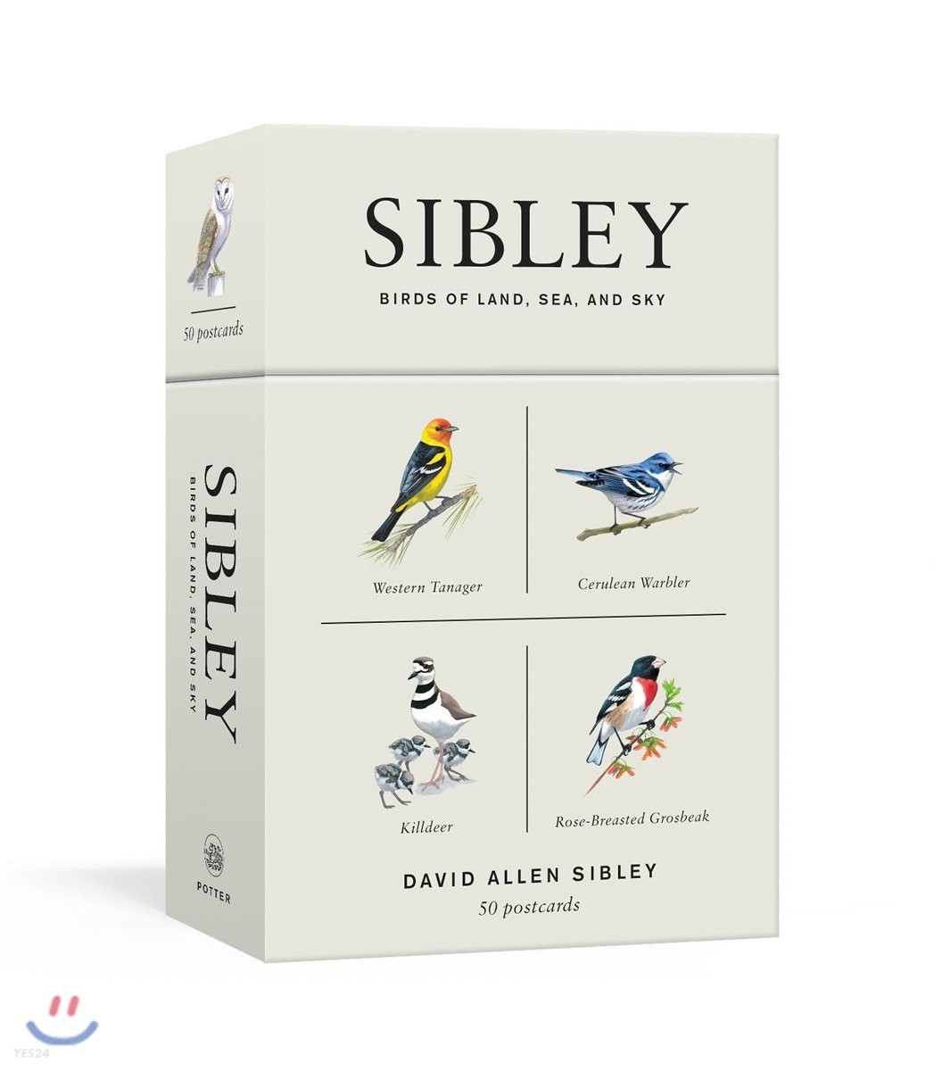 Sibley Birds of Land, Sea, and Sky (50 Postcards)