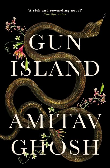 The Gun Island (A spellbinding, globe-trotting novel by the bestselling author of the Ibis trilogy)
