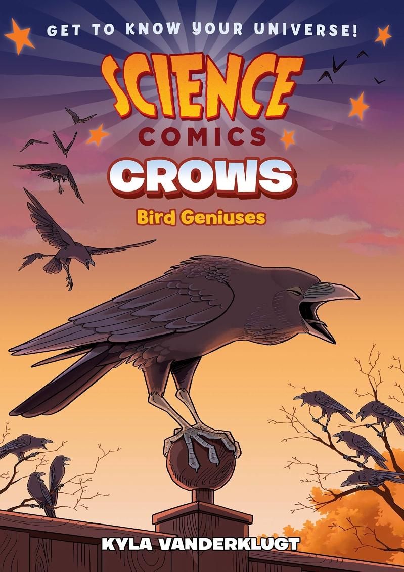 Crows : genius birds