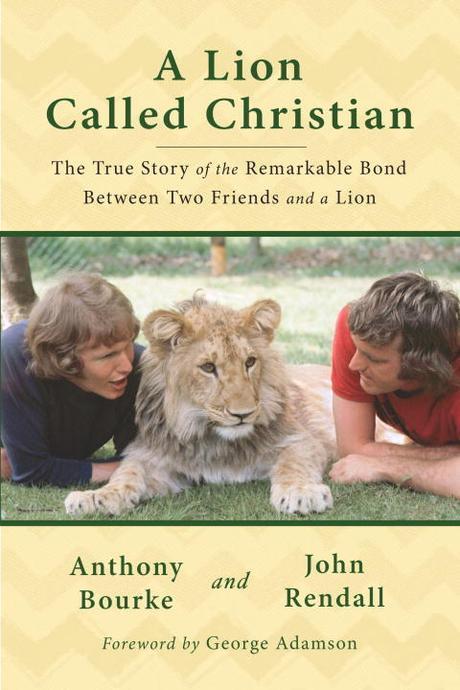 (A) lion called Christian