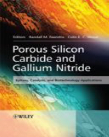 Porous Silicon Carbide and Gallium Nitride : Epitaxy, Catalysis, and Biotechnology Applications Paperback (Epitaxy, Catalysis, and Biotechnology Applications)