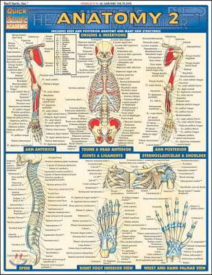 Anatomy 2 (Includes Deep and Posterior Anatomy and Any New Structures)