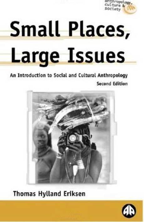 Small Places, Large Issues, 2/e : An Introduction to Social and Cultural Anthropology Paperback