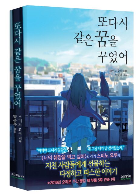또다시 같은 꿈을 꾸었어