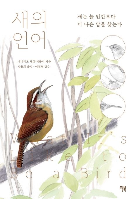 새의 언어 (새는 늘 인간보다 더 나은 답을 찾는다) 표지