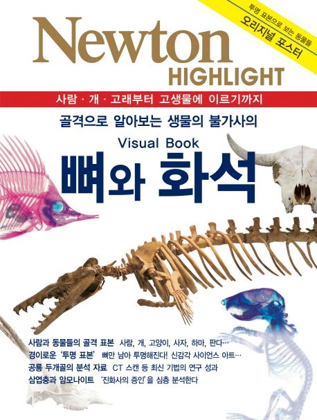 Newton  Highlight :  뼈와 화석  뼈와 화석