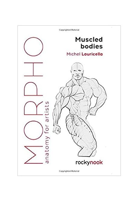 Morpho  : muscled bodies  : anatomy for artists