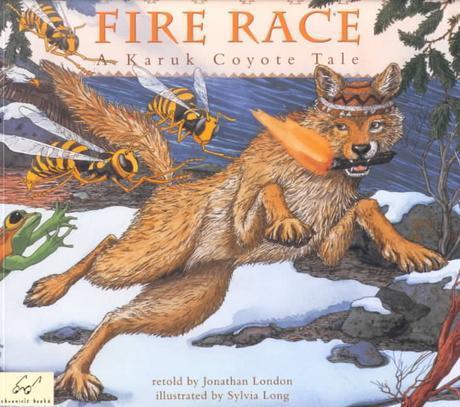 Fire Race:a Karuk coyote tale