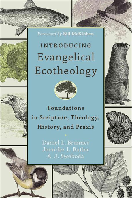 Introducing Evangelical Ecotheology : Foundations in Scripture, Theology, History, and Praxis