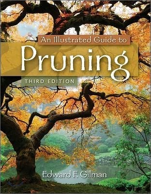 An illustrated guide to pruning