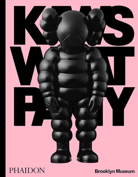 KAWS  : what party