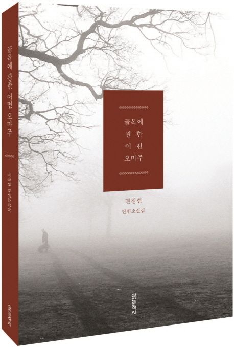 골목에 관한 어떤 오마주 : 권정현 단편소설집
