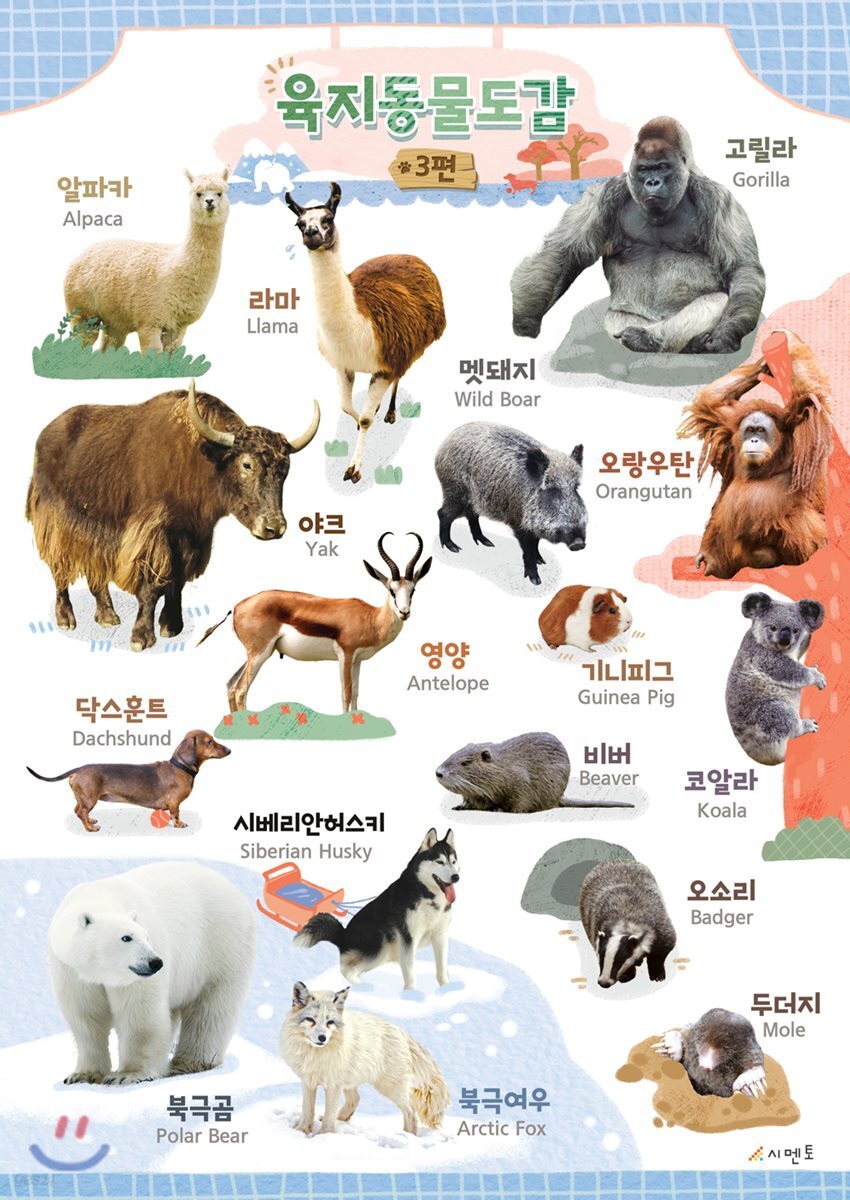 시멘토 학습벽보 학습앱 육지동물도감 3