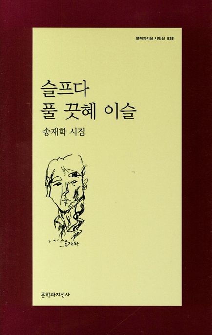 슬프다 풀 끗혜 이슬  : 송재학 시집