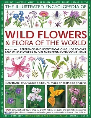 (The)illustrated encyclopaedia of wild flowers and flora of the World