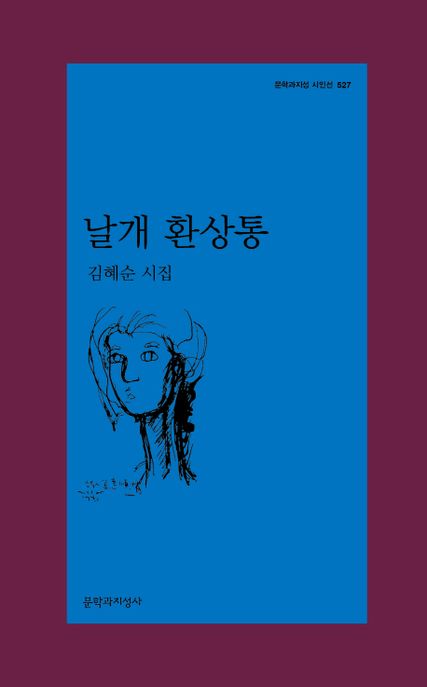 날개 환상통: 김혜순 시집/ 김혜순 지음 표지