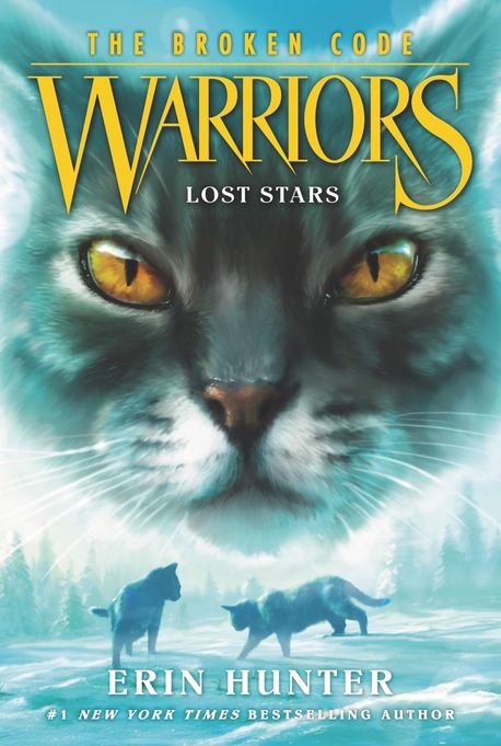 Warriors : the broken code . 1 , Lost stars