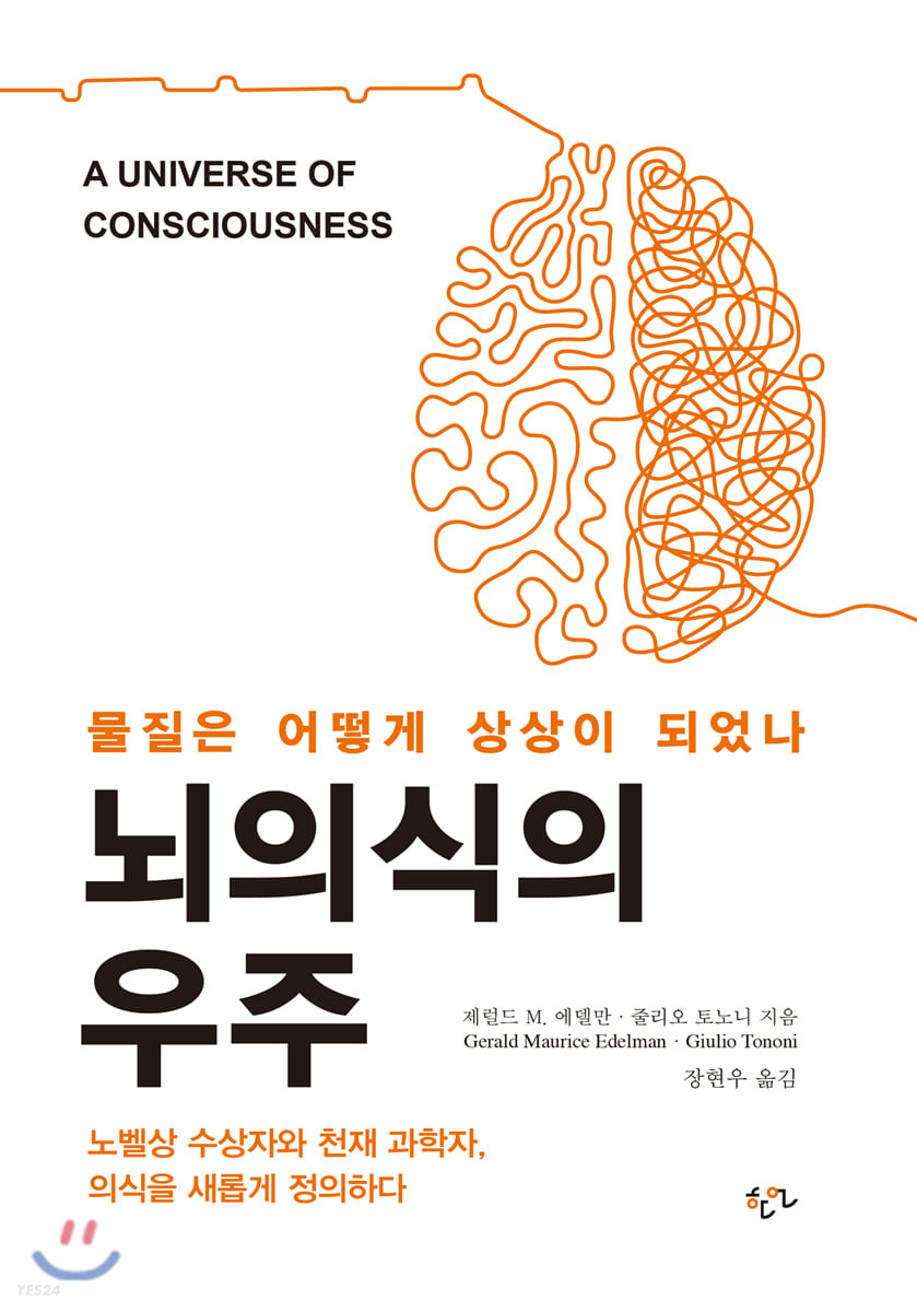 뇌의식의 우주 : 물질은 어떻게 상상이 되었나