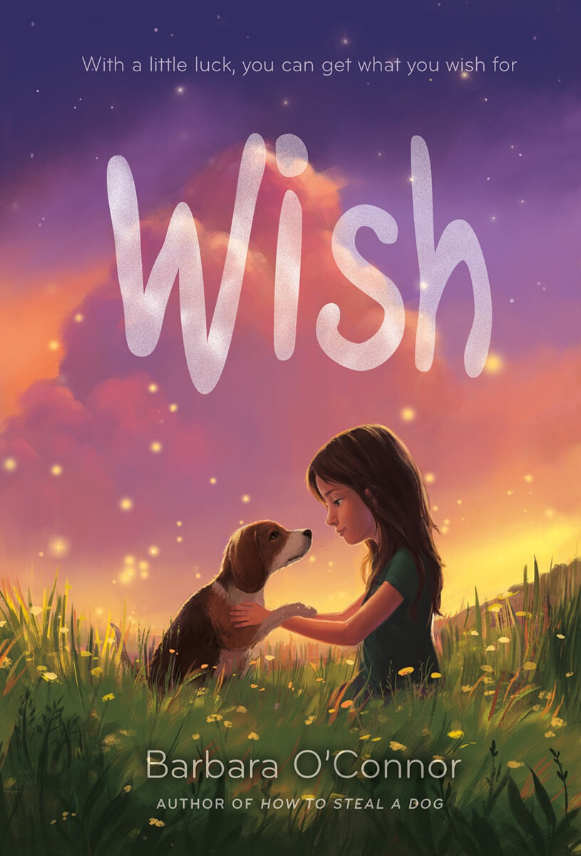 Wish (Using Qualitative or Quantitative Methods)