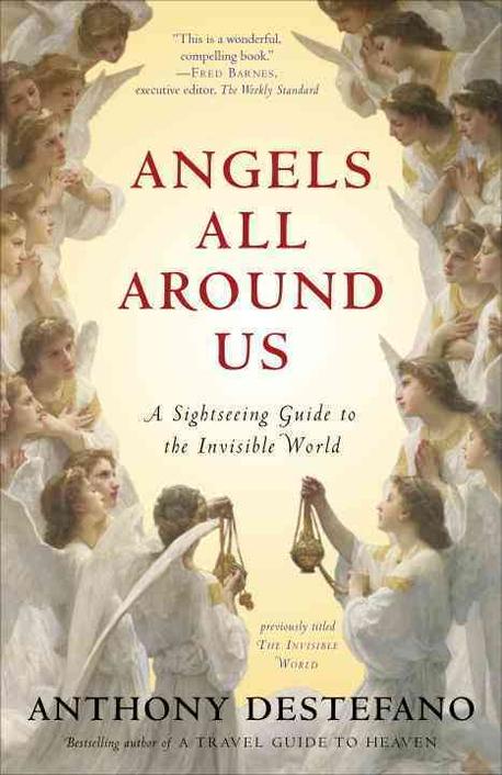 Angels all around us : a sightseeing guide to the invisible world. / by Anthony DeStefano