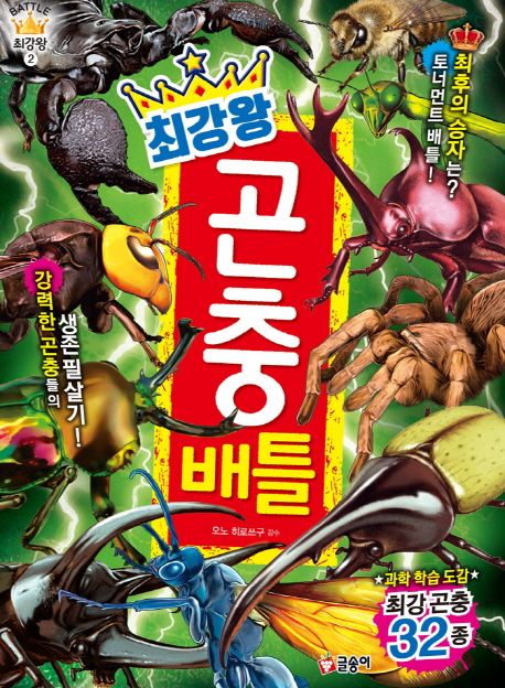 한낮인데 어두운 방