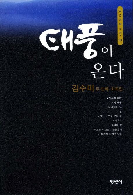 태풍이 온다  : 김수미 두 번째 희곡집