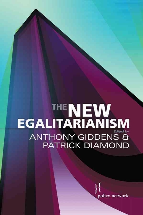 New Egalitarianism Paperback
