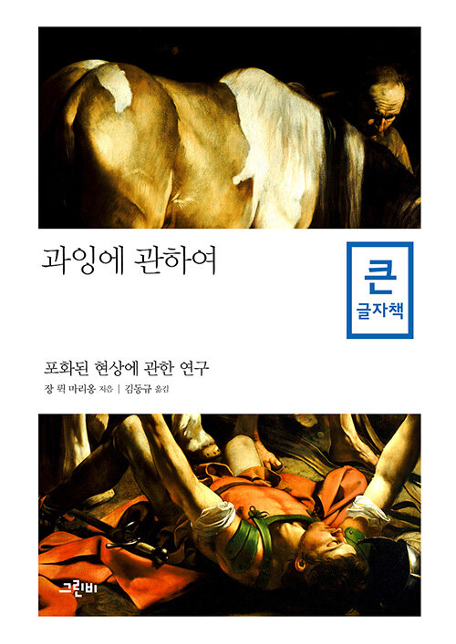 과잉에관하여[큰글자도서]:포화된현상에관한연구