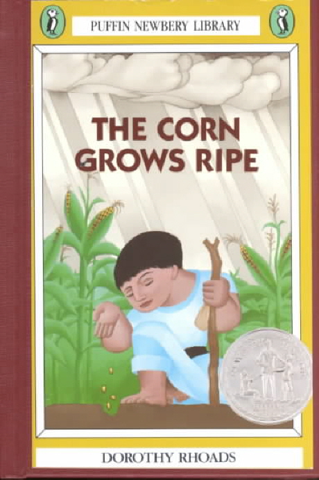 (The)Corn grows ripe