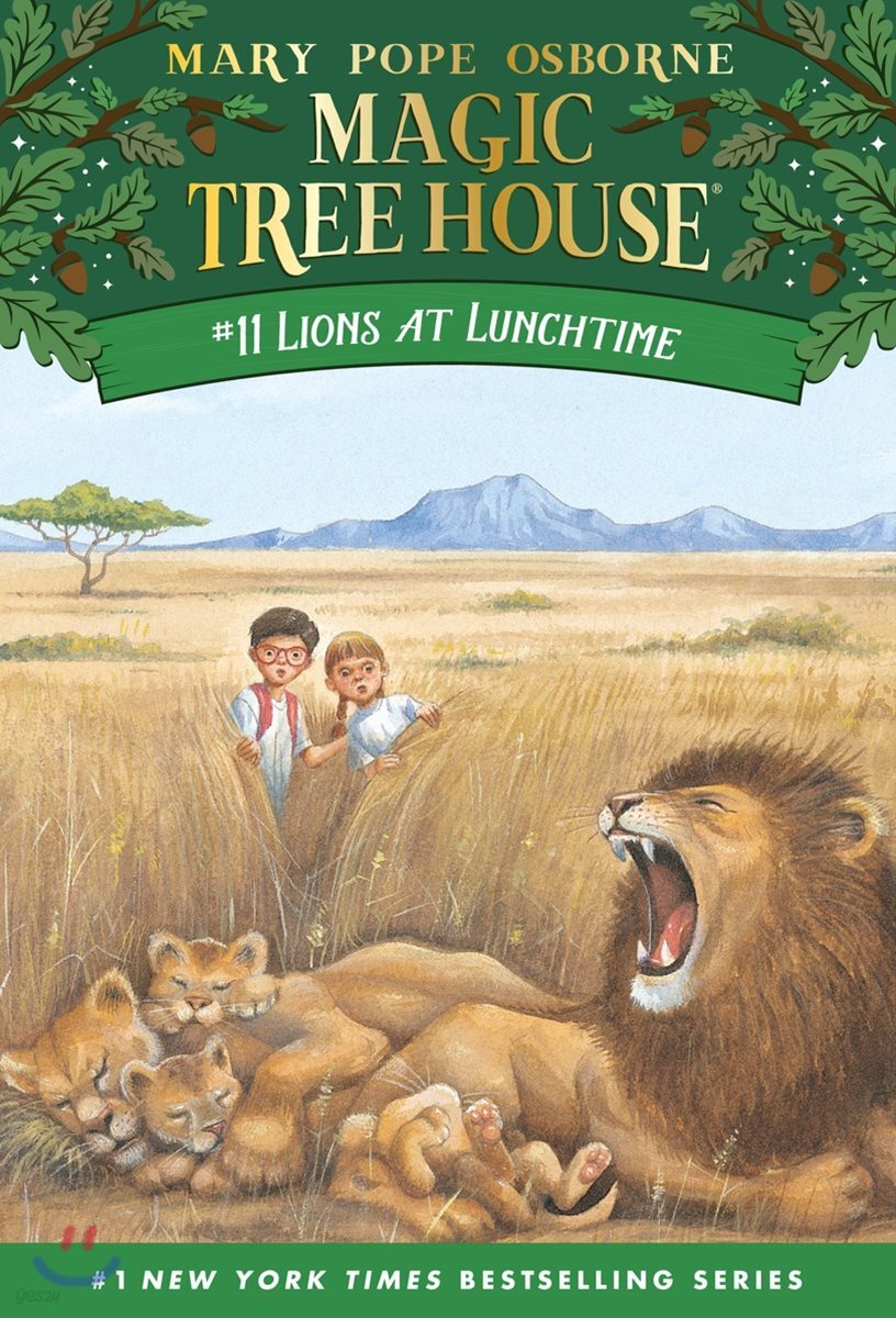 (S)Lions at lunchtime 표지