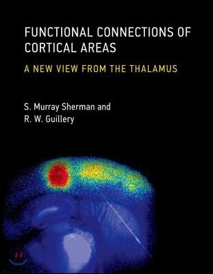 Functional Connections of Cortical Areas: A New View from the Thalamus (A New View from the Thalamus)