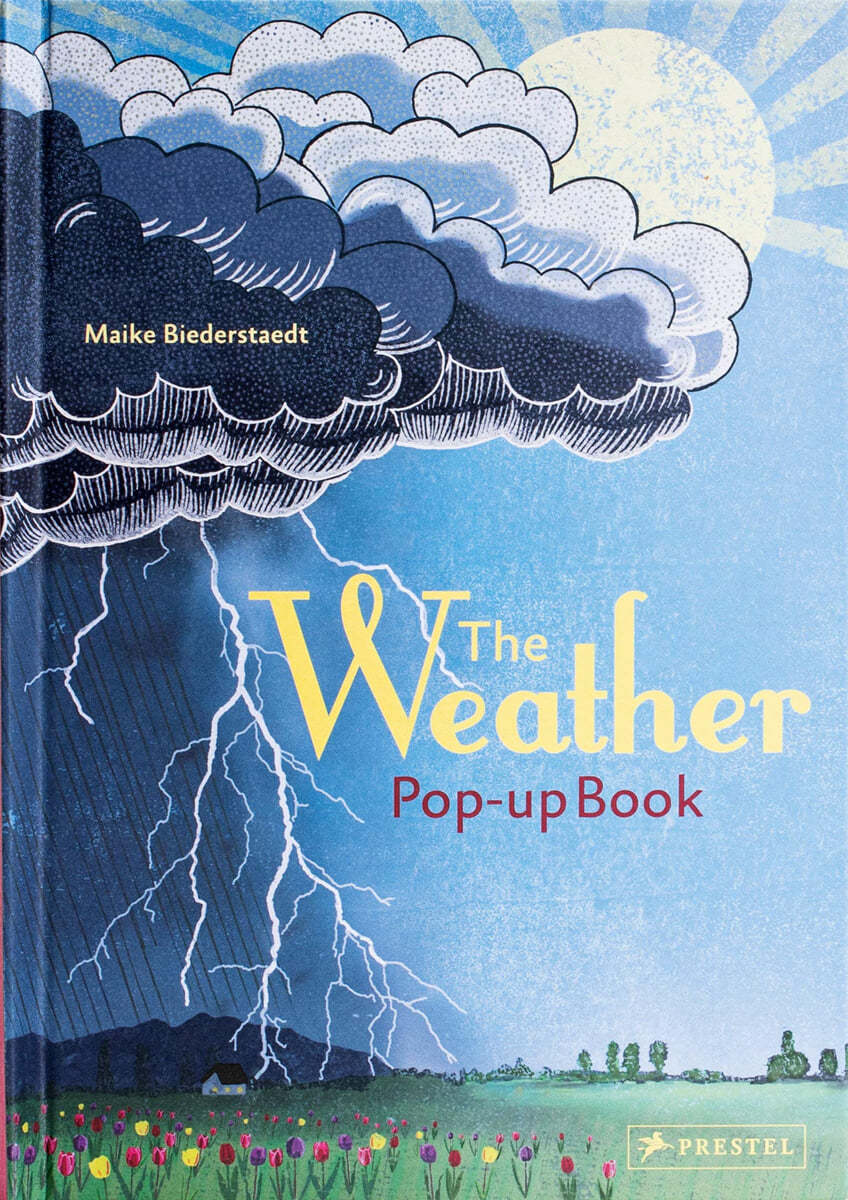 Weather: Pop-Up Book (Pop-Up Book)