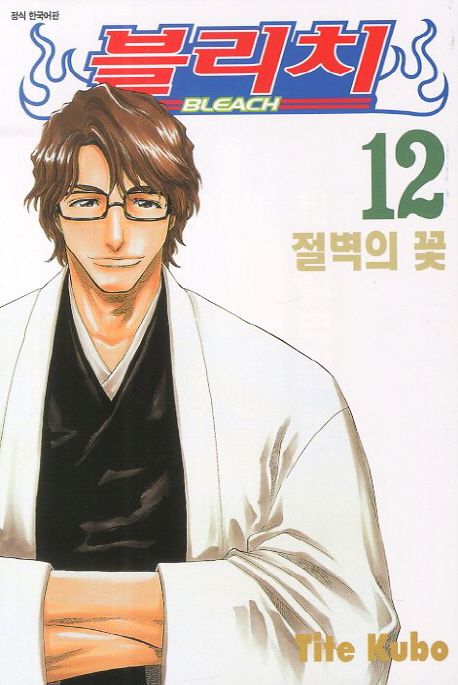 블리치 = Bleach. 12 : 절벽의 꽃 / Tite Kubo 저 ; 오경화 번역