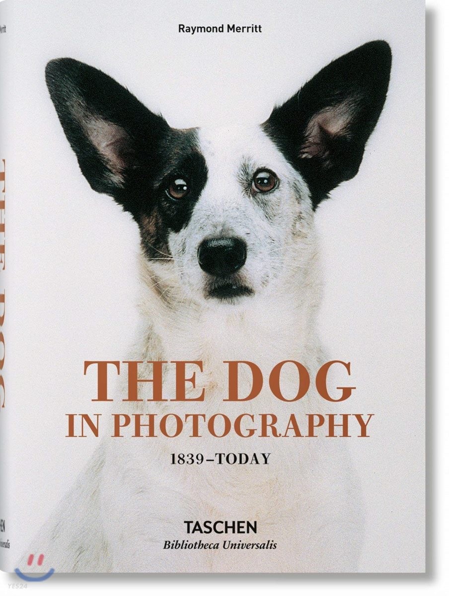 The Dog in Photography 1839-Today (1839-today)