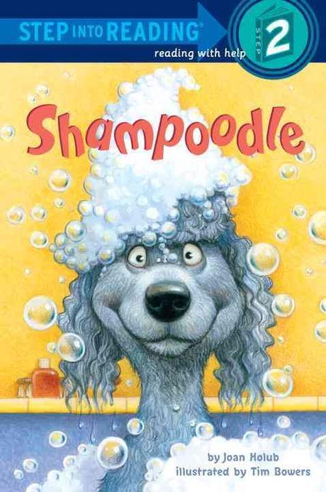 Shampoodle