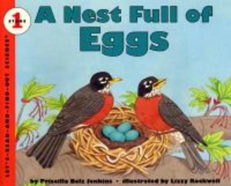 (A) nest full of eggs