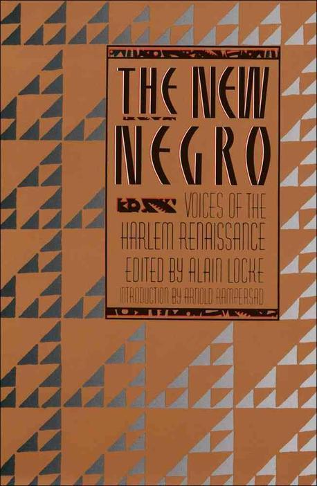 New Negro Paperback (Touchstone)