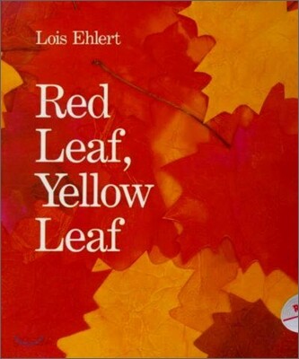 red leaf, yellow leaf