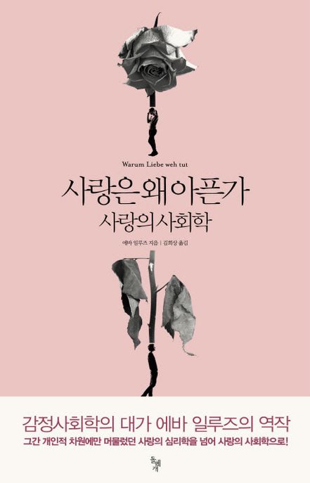 사랑은 왜 아픈가 : 사랑의 사회학