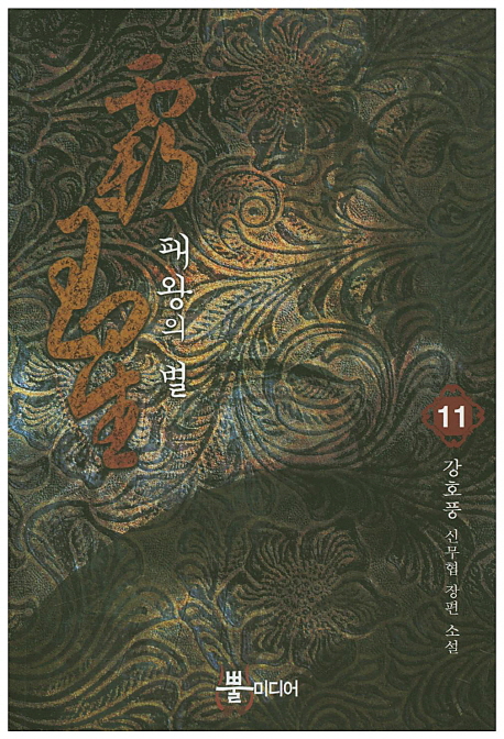 패왕의 별 : 강호풍 신무협 장편 소설. 11