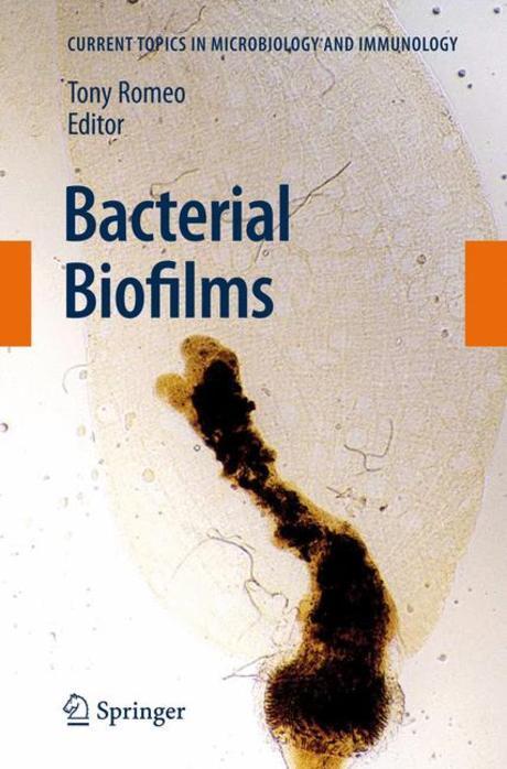 Bacterial Biofilms Paperback