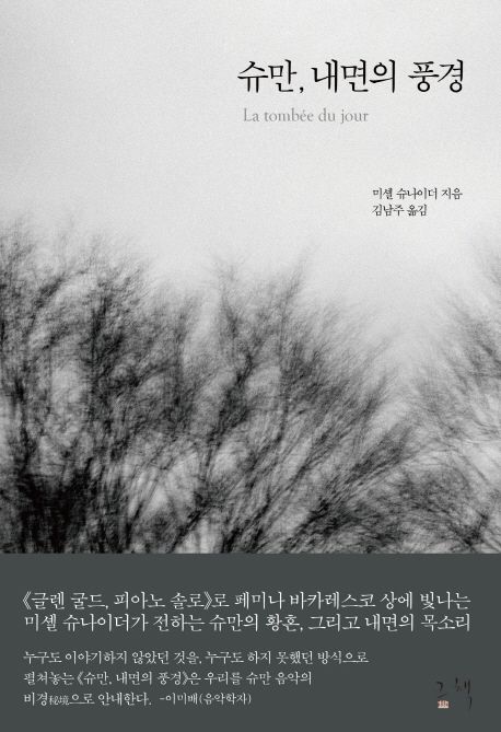 슈만, 내면의 풍경 / 미셸 슈나이더 지음 ; 김남주 옮김.