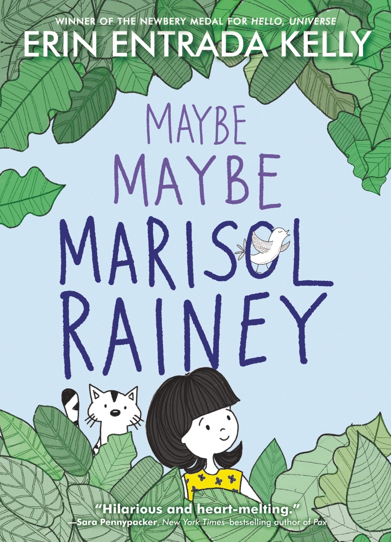 Maybe Maybe Marisol Rainey 표지