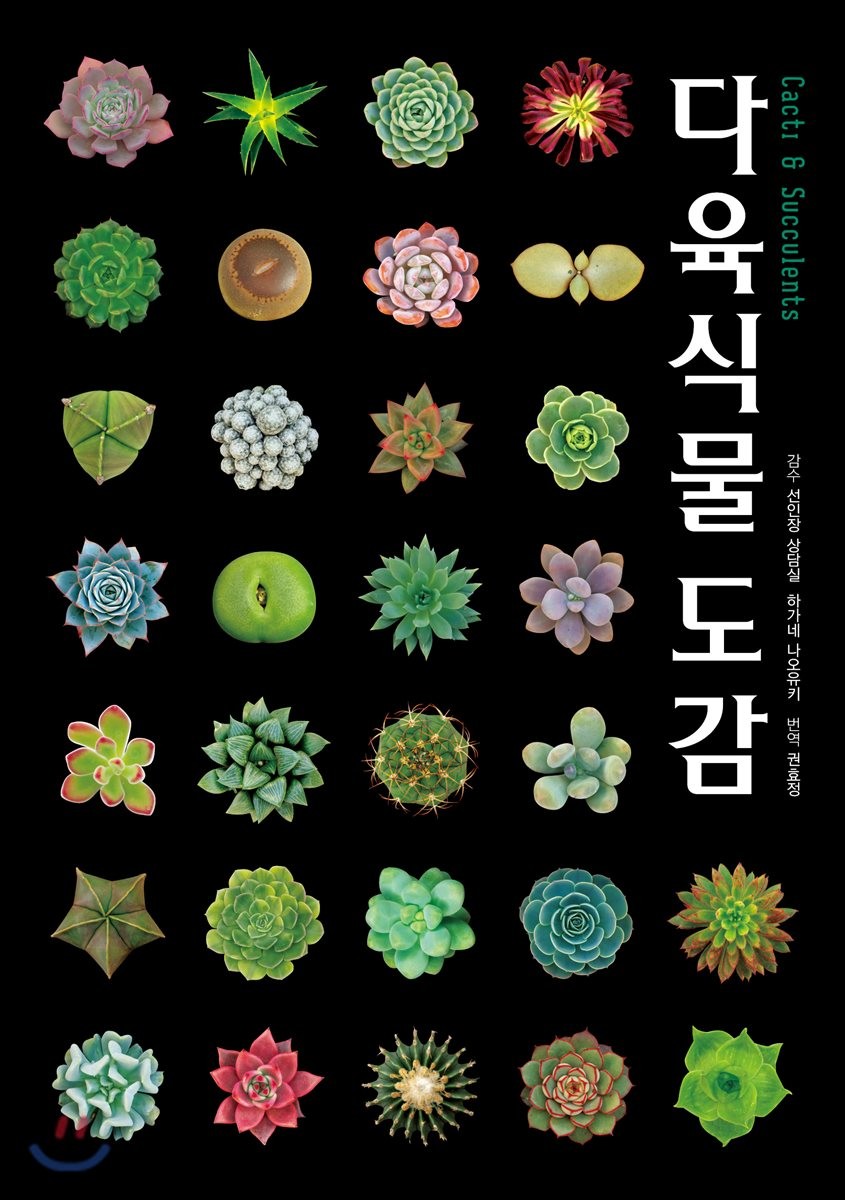 다육식물도감  : cacti & succulents / 하가네 나오유키 감수  ; 권효정 옮김