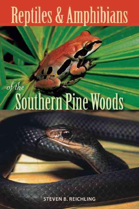 Reptiles and Amphibians of the Southern Pine Woods Paperback