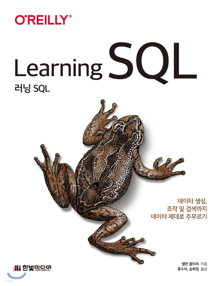 러닝 SQL (데이터 생성, 검색, 조작까지 데이터 제대로 주무르기)