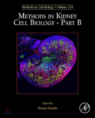 Methods in Kidney Cell Biology Part B: Volume 154