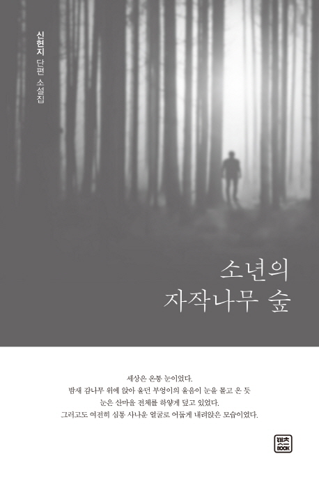 소년의 자작나무 숲 : 신현지 단편 소설집
