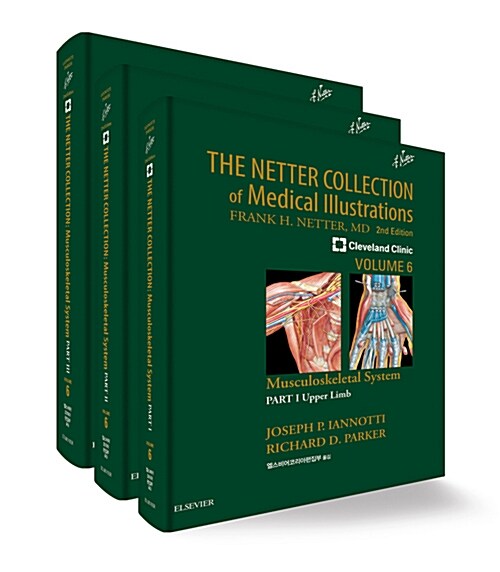 THE NETTER COLLECTION : 근육뼈대계통 3권 세트