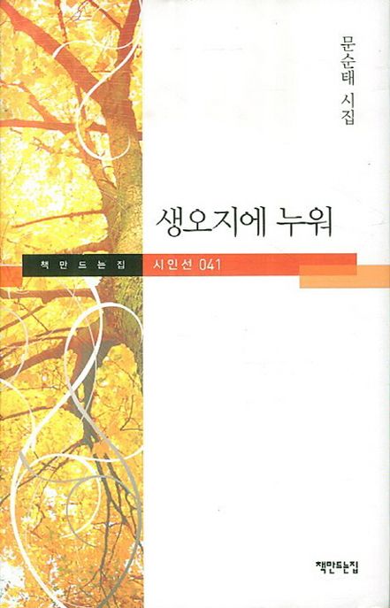 생오지에 누워 (문순태 시집)